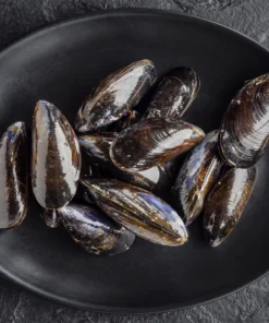 Mussels