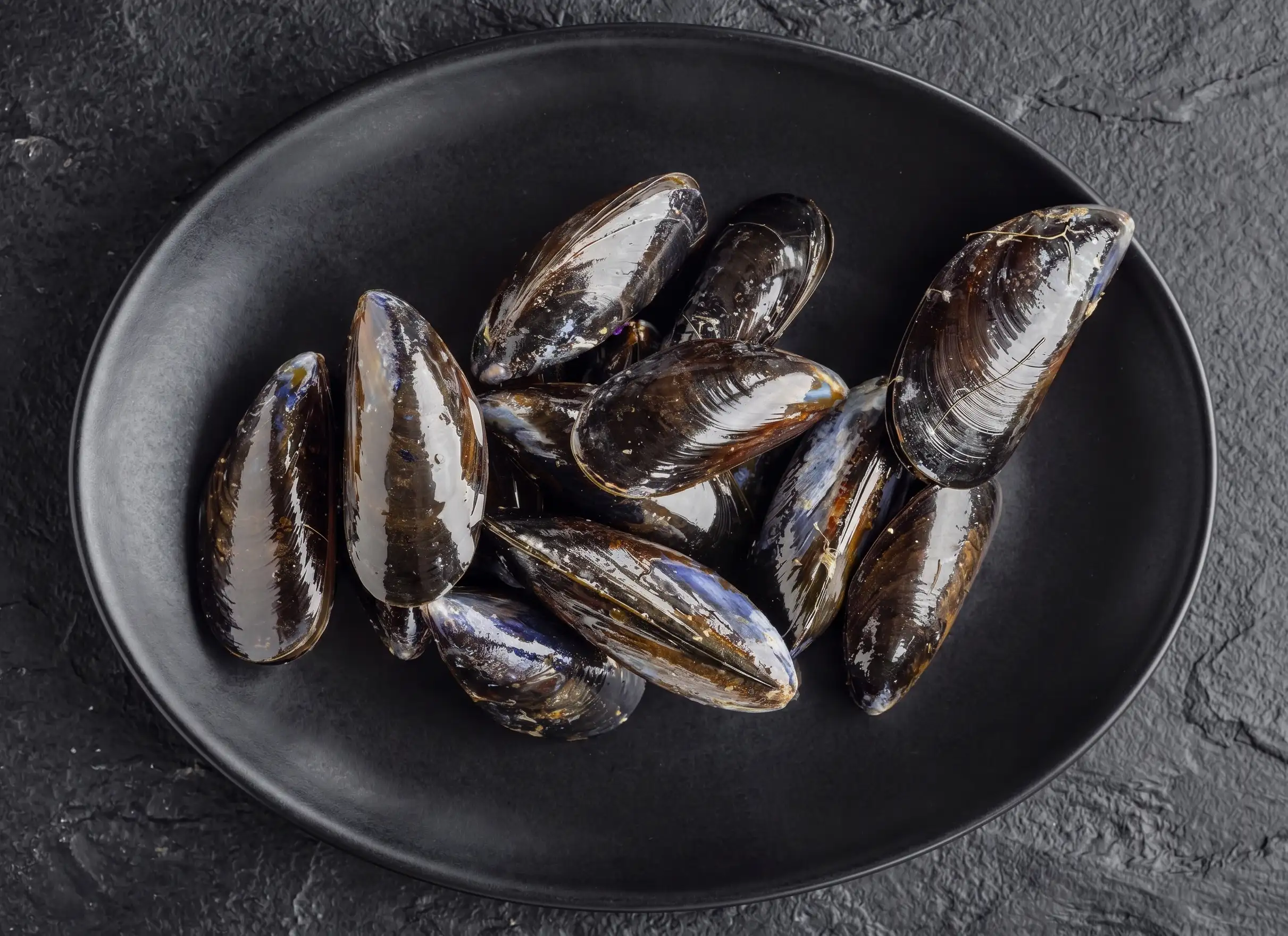 Mussels