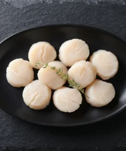 Scallops