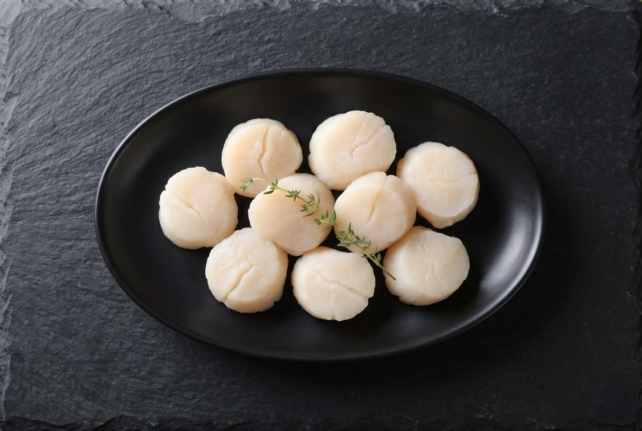 Scallops
