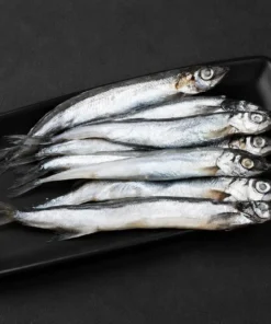Egg Fishes